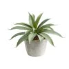 9" Potted Aloe Succulent Plant -Michaels Shop D294029S 1