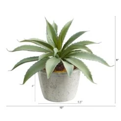 9" Potted Aloe Succulent Plant -Michaels Shop D294029S 2