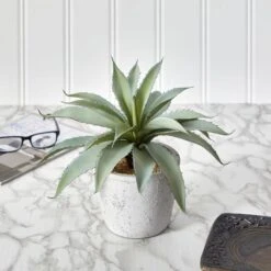 9" Potted Aloe Succulent Plant -Michaels Shop D294029S 4