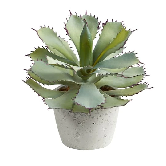 11" Potted Succulent Plant 3 11" Potted Succulent Plant