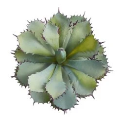 11" Potted Succulent Plant 10 11" Potted Succulent Plant -Michaels Shop D294034S 3
