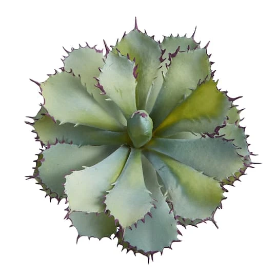 11" Potted Succulent Plant 6 11" Potted Succulent Plant - Image 4