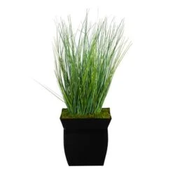 21" Onion Grass Plant In Black Metal Planter