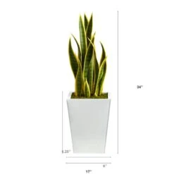 2.5ft. Snake Plant In White Metal Planter -Michaels Shop D294091S 2