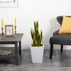 2.5ft. Snake Plant In White Metal Planter -Michaels Shop D294091S 3