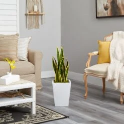 2.5ft. Snake Plant In White Metal Planter -Michaels Shop D294091S 4