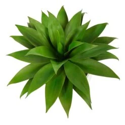 2.5ft. Agave Plant In White Planter With Metal Stand -Michaels Shop D294094S 3