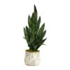 2.5ft. Snake Plant In Decorative Vintage Planter