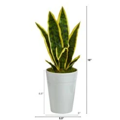 18" Snake Plant In Decorative White Planter -Michaels Shop D294113S 2