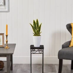 18" Snake Plant In Decorative White Planter -Michaels Shop D294113S 3