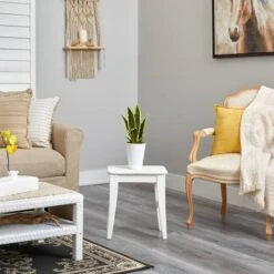 18" Snake Plant In Decorative White Planter -Michaels Shop D294113S 4