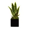 16" Snake Plant In Decorative Black Planter 1 16" Snake Plant In Decorative Black Planter -Michaels Shop D294115S 1