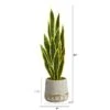 3ft. Snake Plant In Stoneware Planter With Gold Trim -Michaels Shop D294118S 2