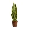 2.5ft. Snake Plant In Decorative Basket Planter -Michaels Shop D294121S 1