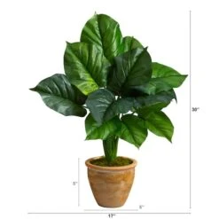 2.5ft. Large Philodendron Leaf Plant In Decorative Planter -Michaels Shop D294146S 2