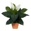 2ft. Peace Lily Plant In Terra Cotta Planter -Michaels Shop D294151S 1