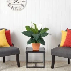 2ft. Peace Lily Plant In Terra Cotta Planter -Michaels Shop D294151S 3