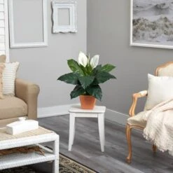 2ft. Peace Lily Plant In Terra Cotta Planter -Michaels Shop D294151S 4