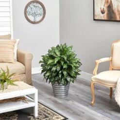 3ft. Silver King Plant In Decorative Tin Bucket -Michaels Shop D294154S 4