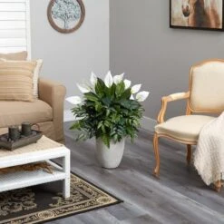 3ft. Mixed Peace Lily Plant In Decorative White Planter -Michaels Shop D294163S 4