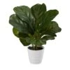 11" Fiddle Leaf Fig Plant In Decorative White Planter -Michaels Shop D294169S 1