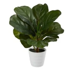 11" Fiddle Leaf Fig Plant In Decorative White Planter