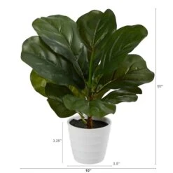 11" Fiddle Leaf Fig Plant In Decorative White Planter 9 11" Fiddle Leaf Fig Plant In Decorative White Planter -Michaels Shop D294169S 2
