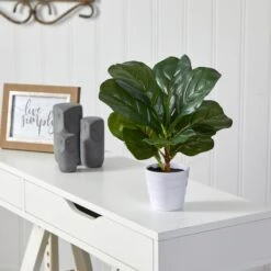 11" Fiddle Leaf Fig Plant In Decorative White Planter 10 11" Fiddle Leaf Fig Plant In Decorative White Planter -Michaels Shop D294169S 3