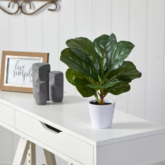 11" Fiddle Leaf Fig Plant In Decorative White Planter 6 11" Fiddle Leaf Fig Plant In Decorative White Planter - Image 4