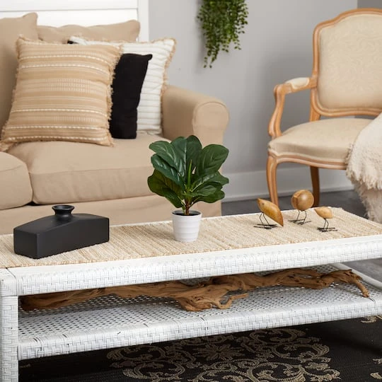 11" Fiddle Leaf Fig Plant In Decorative White Planter 7 11" Fiddle Leaf Fig Plant In Decorative White Planter - Image 5