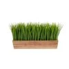 10" Vanilla Grass Plant In Decorative Planter -Michaels Shop D294179S 1