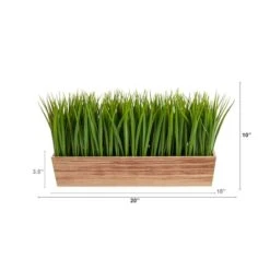 10" Vanilla Grass Plant In Decorative Planter -Michaels Shop D294179S 2