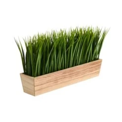 10" Vanilla Grass Plant In Decorative Planter -Michaels Shop D294179S 3