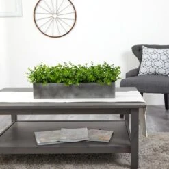 9" Potted Eucalyptus Plant -Michaels Shop D294182S 4