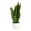 16" Potted Snake Plant -Michaels Shop D294184S 1