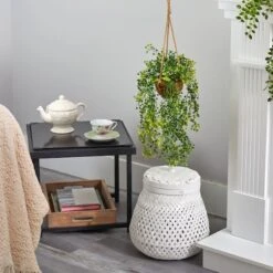 20" Baby's Tear Plant In Hanging Basket -Michaels Shop D294185S 4