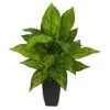 21" Dumb Cane Plant In Decorative Black Planter -Michaels Shop D294186S 1