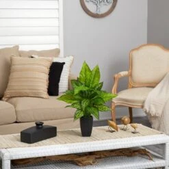 21" Dumb Cane Plant In Decorative Black Planter -Michaels Shop D294186S 4