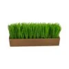 5" Grass Plant In Decorative Planter -Michaels Shop D294187S 1