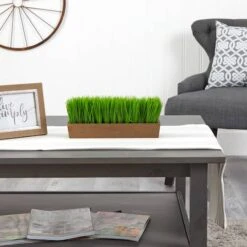 5" Grass Plant In Decorative Planter -Michaels Shop D294187S 4