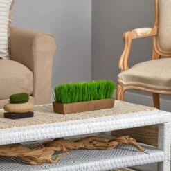 5" Grass Plant In Decorative Planter -Michaels Shop D294187S 5