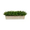 8" Eucalyptus In Decorative Planter -Michaels Shop D294191S 1