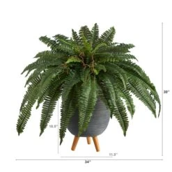 2.5ft. Boston Fern In Gray Planter With Legs -Michaels Shop D294219S 2