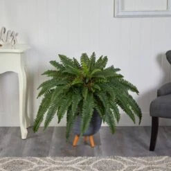 2.5ft. Boston Fern In Gray Planter With Legs -Michaels Shop D294219S 3