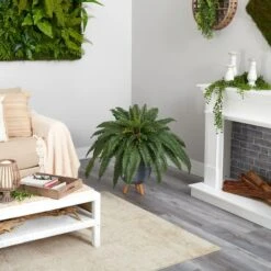 2.5ft. Boston Fern In Gray Planter With Legs -Michaels Shop D294219S 4