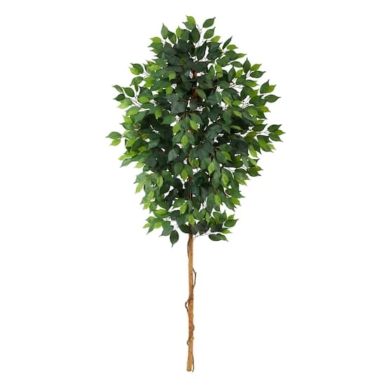 6ft. Single Ficus Tree 4 6ft. Single Ficus Tree - Image 2