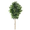 6ft. Single Ficus Tree -Michaels Shop D294253S 1