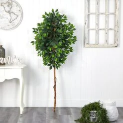 6ft. Single Ficus Tree 9 6ft. Single Ficus Tree -Michaels Shop D294253S 3