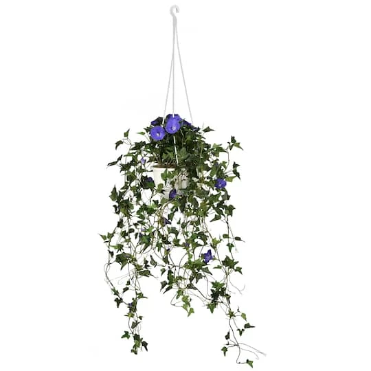 3.5ft. Purple Morning Glory Hanging Plant 3 3.5ft. Purple Morning Glory Hanging Plant