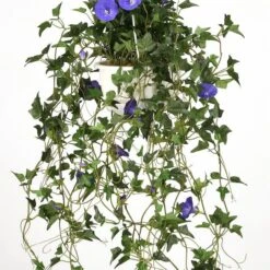 3.5ft. Purple Morning Glory Hanging Plant 12 3.5ft. Purple Morning Glory Hanging Plant -Michaels Shop D303366S 4